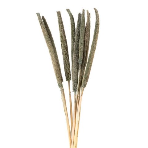 KWIAT NATURA 01 DŁ. BUKIETU 68 CM DŁ. KŁOS 30 CM POMARAŃCZOWY