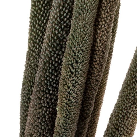 KWIAT NATURA 01 DŁ. BUKIETU 68 CM DŁ. KŁOS 30 CM POMARAŃCZOWY