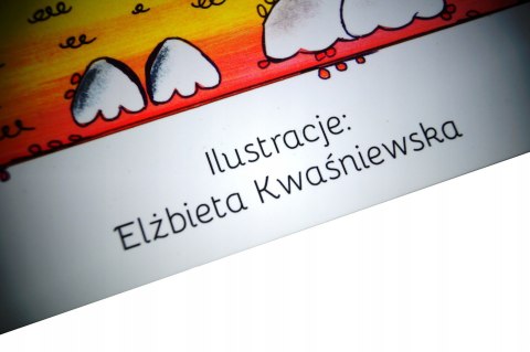 KSIĄŻKA DLA DZIECI ŁATKA I GAŁGANEK B.WODA