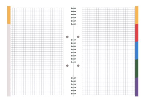 Kołozeszyt STUDENT BOOK B5/100K KRATKA TOP 2000, 400147629