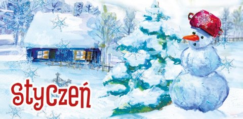 Terminarz Rodzinny 218x471mm 2026 Michalczyk i Prokop TS-10-10 kalendarz jeden miesiąc planer