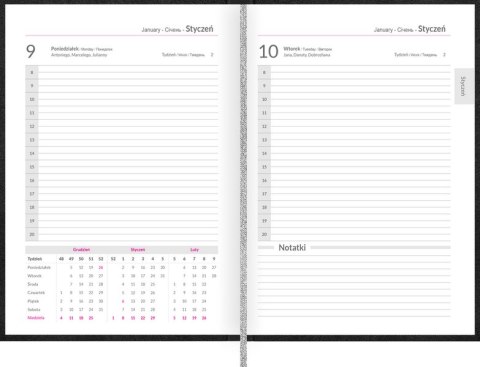 Kalendarz Top 2000 Standard 2023 A4 dzienny brązowy 400165198