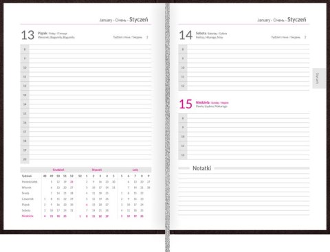 Kalendarz Top 2000 Standard 2023 B5 dzienny czarny 400165188