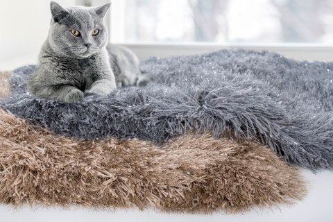 DY/MUSSO/TURK 75X150