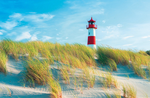 Terminarz Ścienny 2026 Michalczyk i Prokop T-107S-1 kalendarz jednodzielny