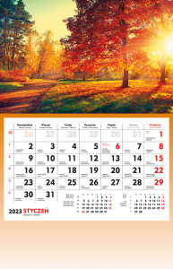 Terminarz Ścienny 2026 Michalczyk i Prokop T-107S-5 kalendarz jednodzielny