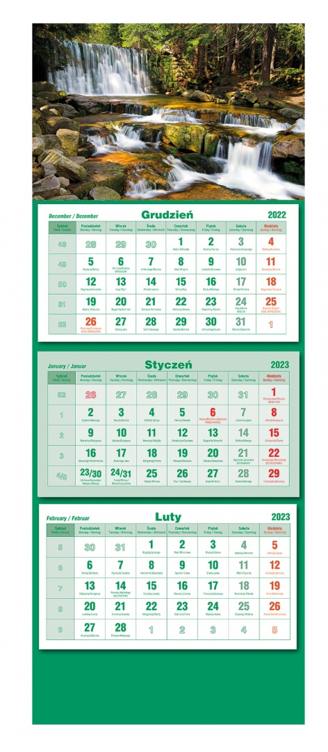 Kalendarz trójdzielny 2026 Psy Michalczyk i Prokop T-105T-09