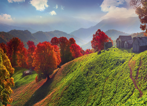 Kalendarz trójdzielny (H) 2026 Michalczyk i Prokop T-106T-11