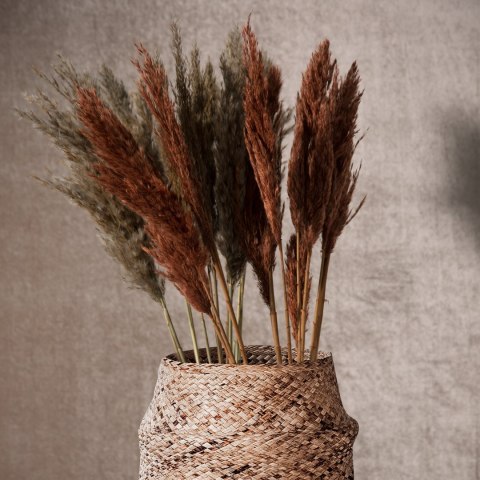 KWIAT NAT DŁ. BUKIETU 73 CM DŁ. KŁOSU 10 CM POMARAŃCZOWY