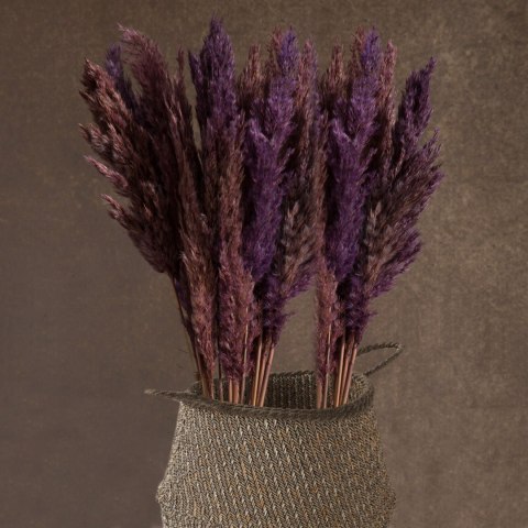 KWIAT NAT DŁ. BUKIETU 73 CM DŁ. KŁOSU 10 CM POMARAŃCZOWY