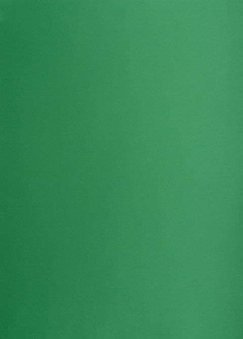 Karton kolorowy A3 160g 25ark ciemnozielony 400150243 OXFORD