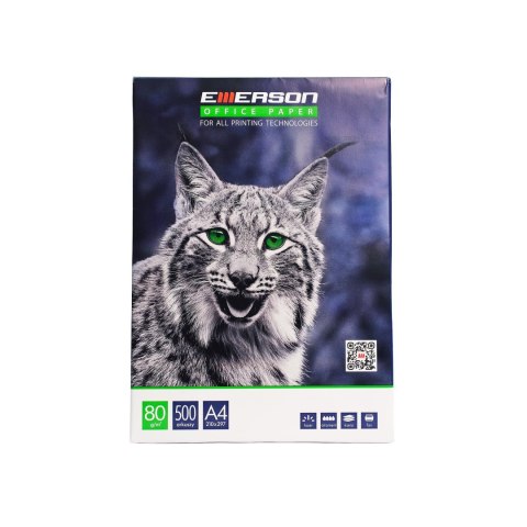 Papier xero A4 biały Ryś 80g karton=5ryz białość 146