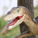 Dinozaur Velociraptor zdalnie sterowany pilot port usb dźwięki QX024B